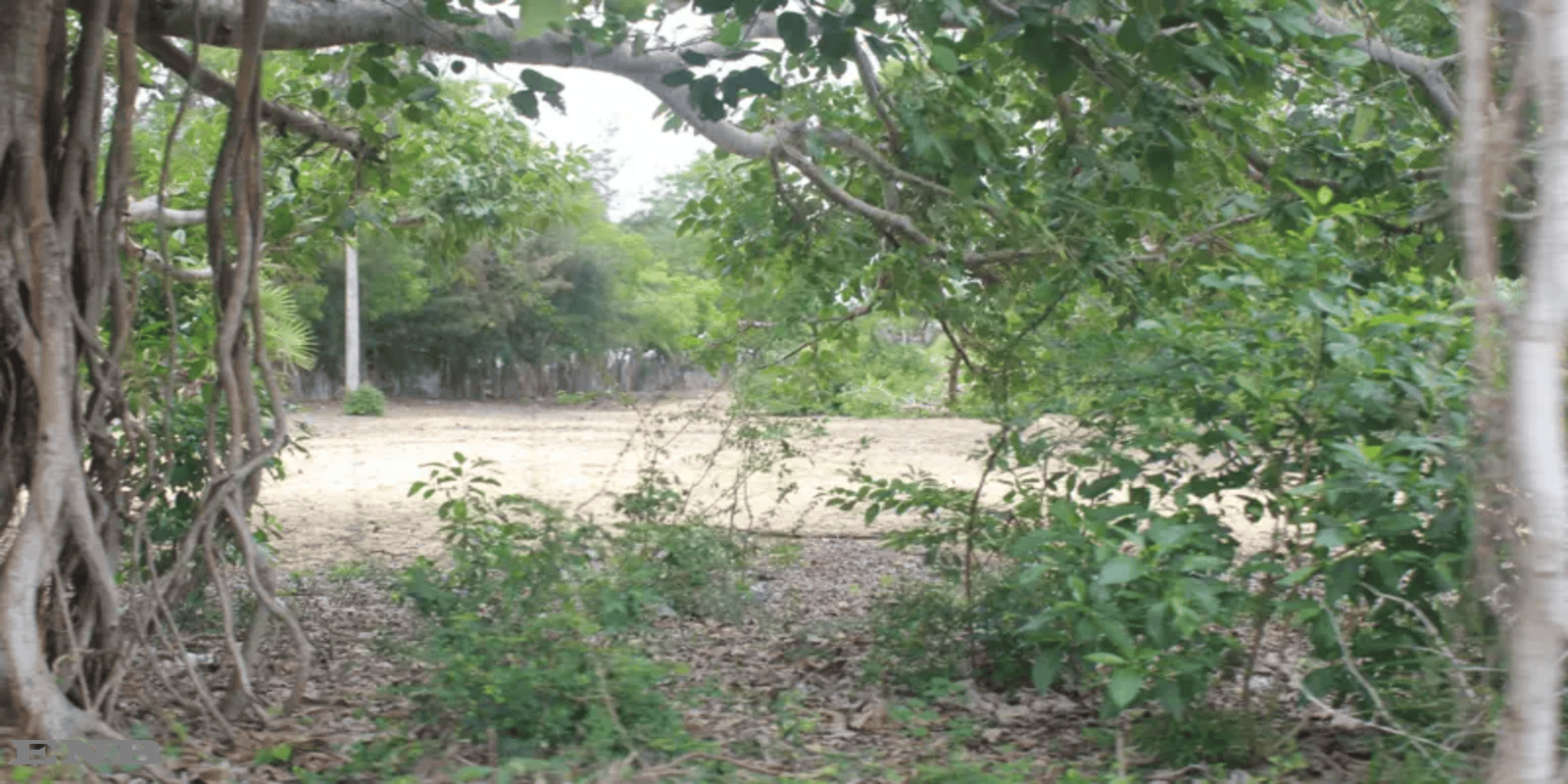 Tech Innovations Reshaping the Retail Landscape: AI Payments